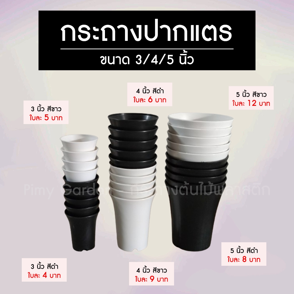 กระถางปากแตร 3/4/5 นิ้ว งานผลิตในไทย