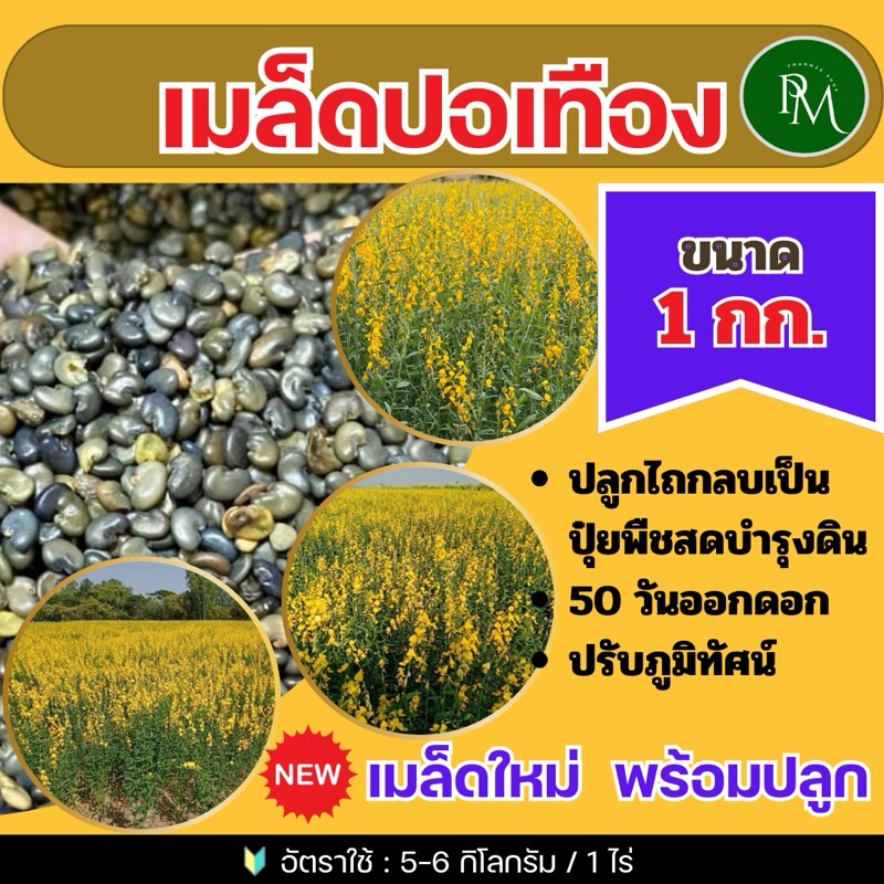 ปอเทือง เมล็ดปอเทือง 1 กก.