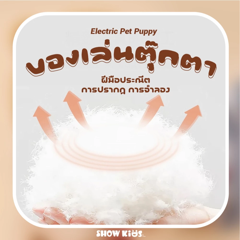 ของเล่นตุ๊กตาสัตว์เลี้ยงเดินได้ หมูเดินได้ แมวเดินได้ กระต่ายเดินได้ สุนัขเดินนได้ ตุ๊กตาเดินได้ ตุ๊กตามีเสียง thumbnail 5