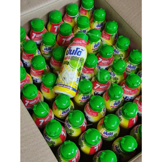 (1ลัง48ขวด ) Pinto แบบขวด น้ำยาล้างจานปินโต้ ผลิตภัณฑ์ทำความสะอาดภาชนะ ชนิดขวด ราคาประหยัด ขนาด 170มล