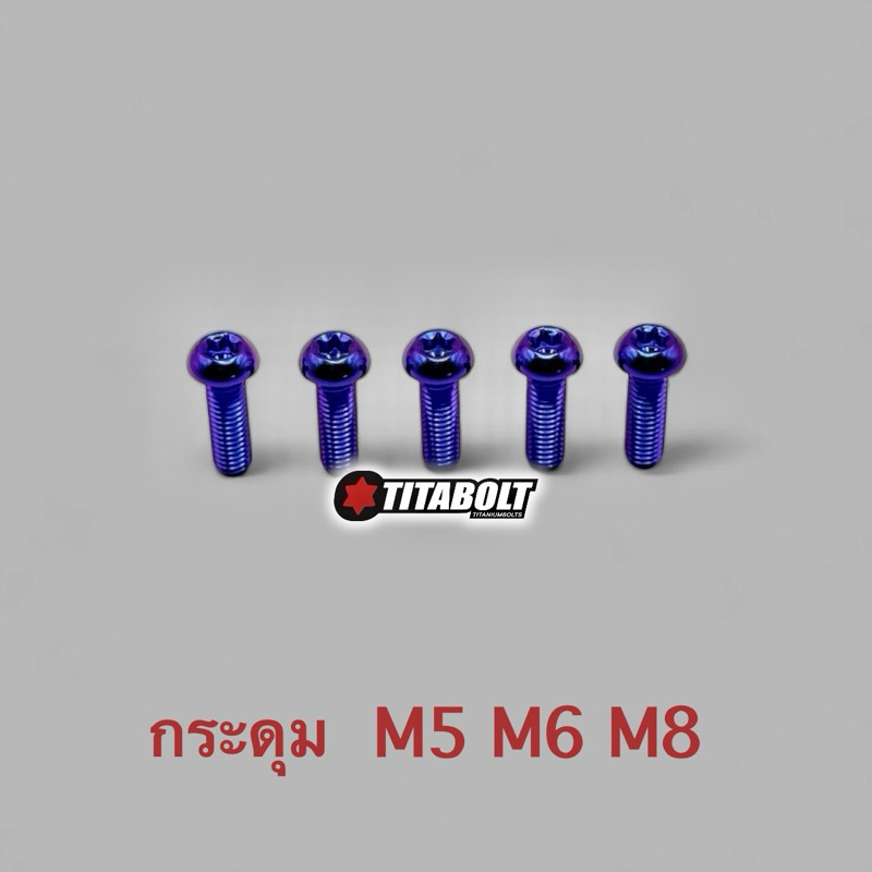 Titabolt น็อตไทเทเนียมหัวกระดุม,หัวซาลาเปา,หัวหมุด M5 M6 M8(ราคาต่อตัว)