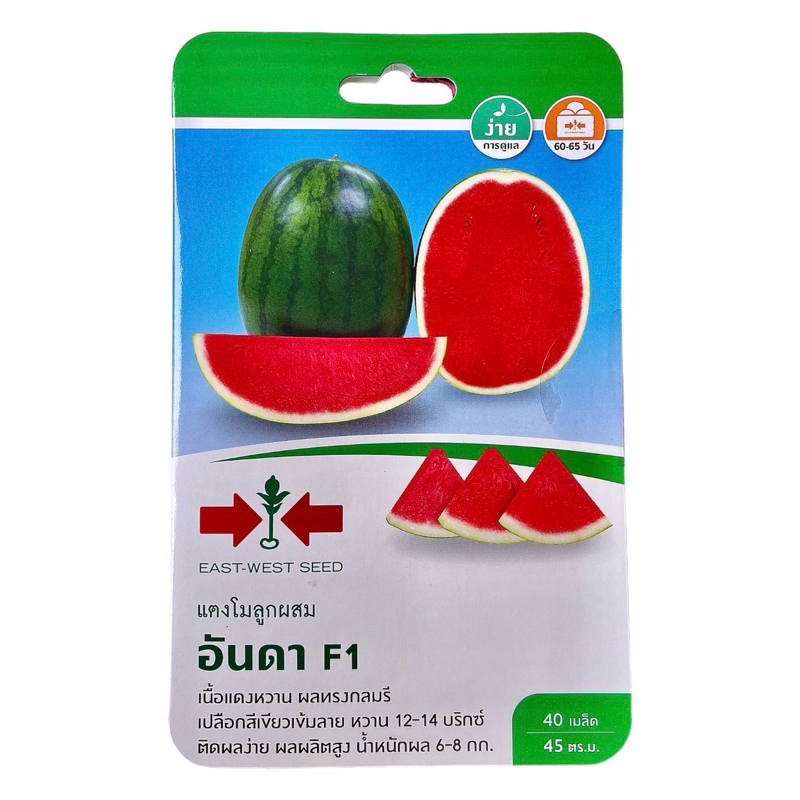 ศรแดง เมล็ด แตงโม อันดา (4-6 กิโลกรัม) 40 เมล็ด