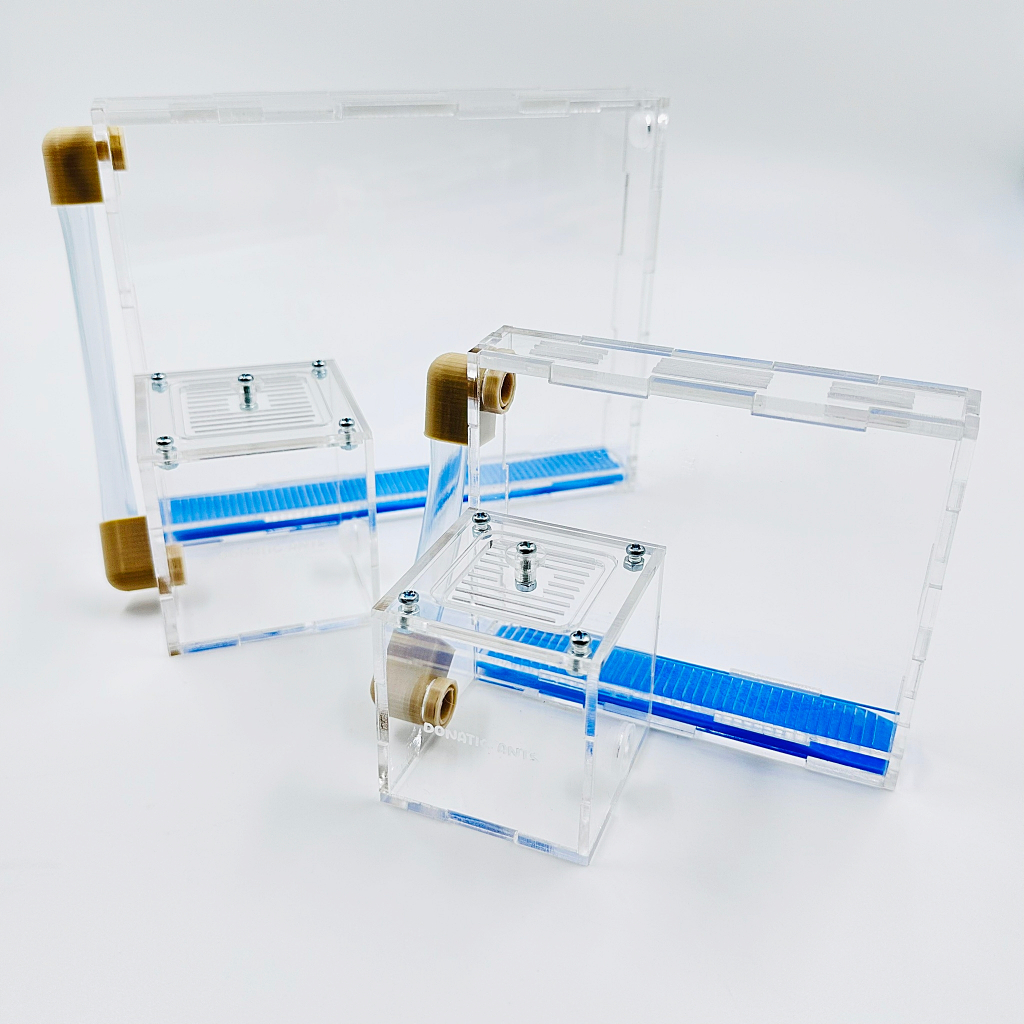 รังดินแนวตั้ง สำหรับมดที่ทำรังในดิน - Donatic Ants