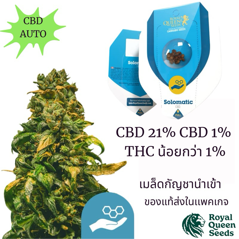 Solomatic CBD เมล็ดกัญชานำเข้านำเข้าของแท้💯Royal Queen Seeds สายพันธุ์ CBD 21% CBD และ 1% THC รสชาติ