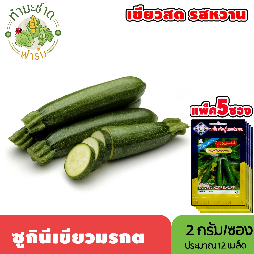 [แพ็ค 5 ซอง] 3A เมล็ดพันธุ์ ซูกินีเขียวมรกต ขนาดซองละ2กรัม ประมาณ12เมล็ด/ซอง GREEN ZUCCHINI ซูกีนี่ แตง เมล็ดพันธุ์พืช