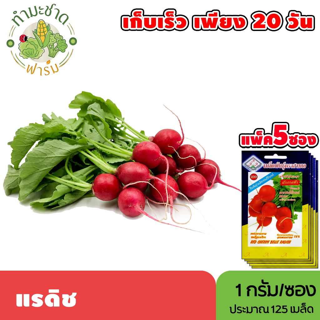 [แพ็ค 5 ซอง] 3A เมล็ดพันธุ์ แรดิช ขนาดซองละ1กรัม ประมาณ125เมล็ด/ซอง RADISH หัวไชเท้า ผักกาดหัว เรดเชอรี่เบลล์ เมล็ดพันธุ