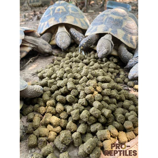 อาหารเต่า Pro-Reptiles เกรด Premium มี 3 สูตร ขนาด 1 กิโลกรัม และ 400กรัม