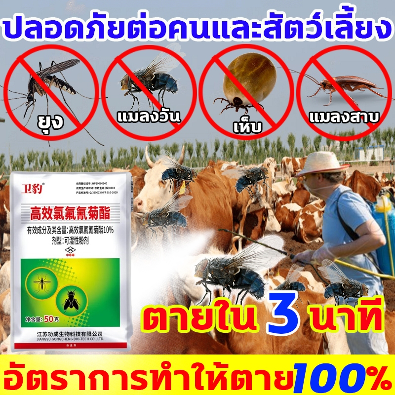 10ปีไม่มียุงและแมลงวัน ไล่แมลงวี่ ฉีดในคอกสัตว์ได้ ฆ่าแมลงวัน อัตราการทำให้ตาย 100% สเปรย์ไล่แมลงวัน กำจัดแมลงวัน
