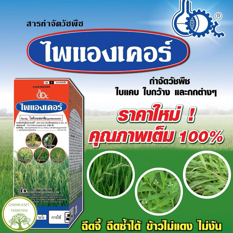 ไพแองเคอร์( ไพริเบนซอกซิม)ยาเก็บหญ้าข้าวนก  หญ้าดอกขาว กก พริกไทย หนวดปลาดุก ผักปอดนา หญ้าแดง