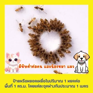 ส่งด่วน🎯 Bayer เจลกำจัดมด / เจลกำจัดแมลงสาบ 12 กรัม เบเยอร์ เหยื่อ กำจัดมด กำจัดแมลงสาบ