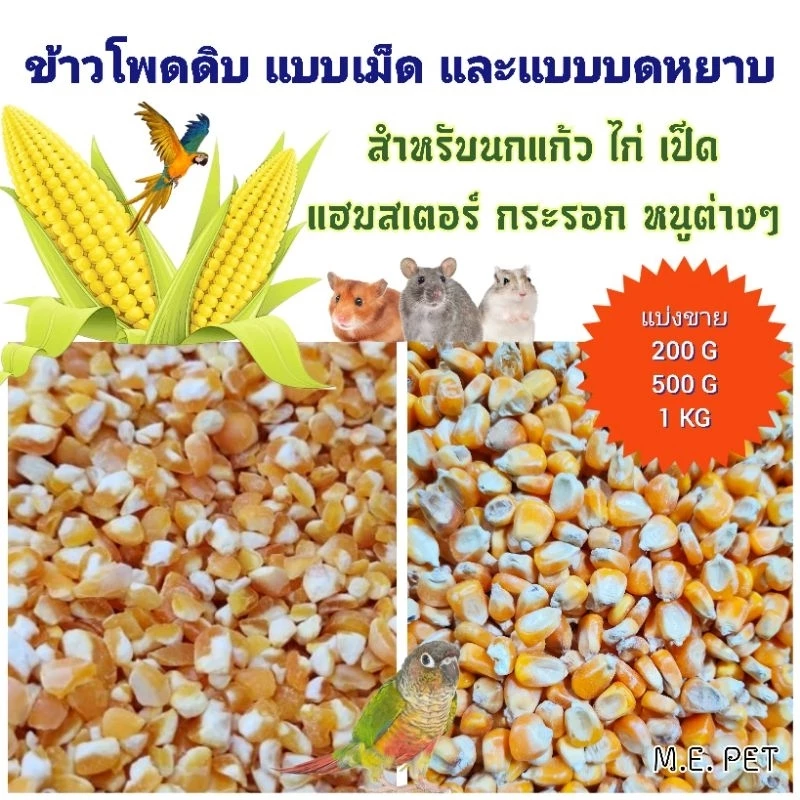 ข้าวโพดดิบ แบบเม็ด และแบบบดหยาบ สำหรับนกแก้ว ไก่ เป็ด หนู กระรอก (200g/500g/1kg)
