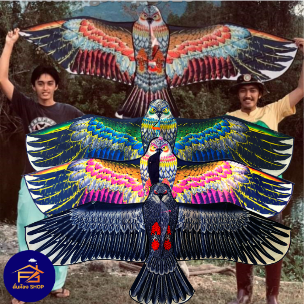 (พร้อมส่ง) ว่าวนกอินทรีย์ ขนาด210x97cm โครงหลัง แถมเชือก 100 เมตร ว่าวไล่นกไล่ศัตรูพืชวิ่งว่าว