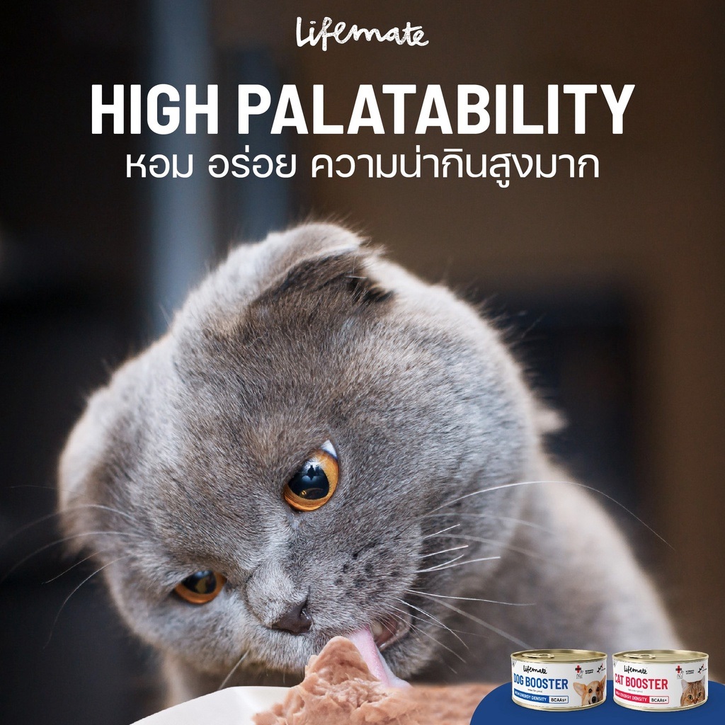 Lifemate Booster Dog&Cat อาหารพักฟื้นโภชนาการครบถ้วน รูปที่ 6