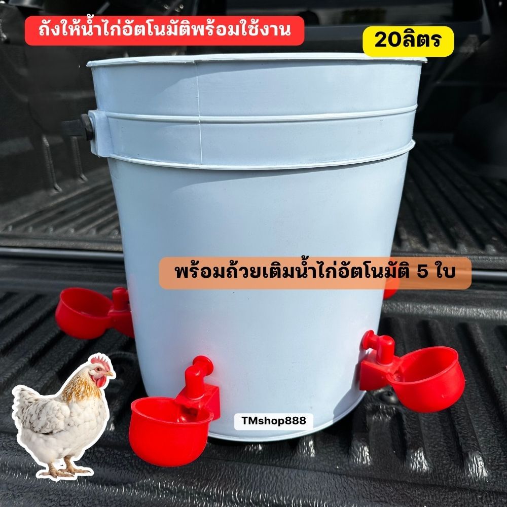 ถังให้น้ำไก่อัตโนมัติ​พร้อมใช้งาน ขนาด 20ลิตร พร้อมถ้วยเติมน้ำไก่อัตโนมัติ 5 ใบ