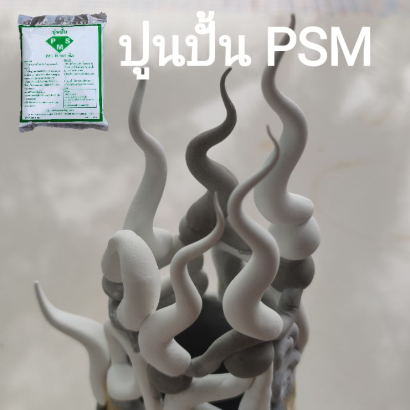 ปูนปั้น PSM (บรรจุ1กก) ผสมน้ำเปล่าใช้ได้เลย ใช้สำหรับงานปั้น ทำบล็อก กดพิมพ์ เนื้อละเอียด แข็งแรง ทนแดด ทนฝน แช่น้ำได้ - รูปที่ 7