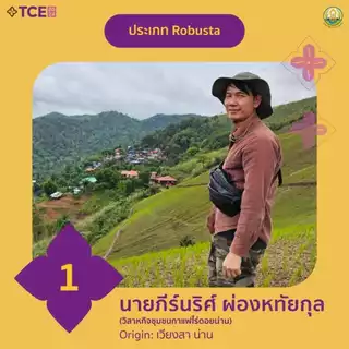 เมล็ดกาแฟ Fine Robusta Nan Winner Fram Rank 1 TCE 2024 / 86.63 คะแนน Yeast+SCM+Cold ferment Process