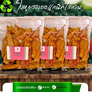 ใบหูกวางออแกนิค ไร้ก้าน #Terminalia Catappa# Malabar leaves #สะอาดปลอดภัยผ่านการฆ่าเขื้อใช้งานง่าย จำนวน1ถุง