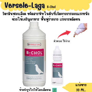 B-CHOL (แบ่งขาย 30 ML.) อาหารนกบำรุงตับนกทุกสายพันธุ์