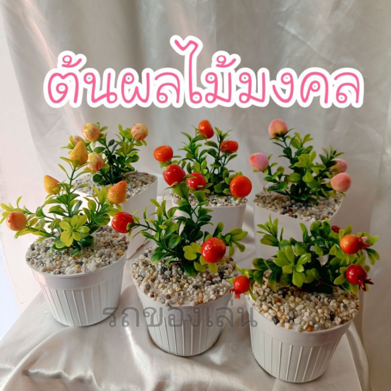 ต้นผลไม้มงคล🍀 (ต้นไม้ปลอม) มินิมอล ตกแต่ง สวยๆ เสริมดวง