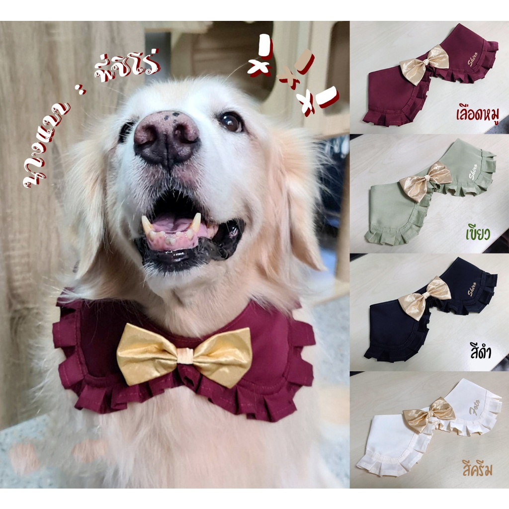 Ha-Shi SHOP ปลอกคอสุนัขพันธ์ใหญ่ ทรงเชิตระบายโบว์ทองติดชื่อฟรีมีหลายโทนสี