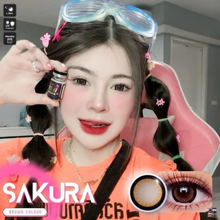 Winkwow-Pitchy Sakura Gray Brown สีเทา~สีน้ำตาล ตาโตขอบหนา หวานเจี๊ยบ สายตาปกติ **ตอนนี้มีPitchylens14.5