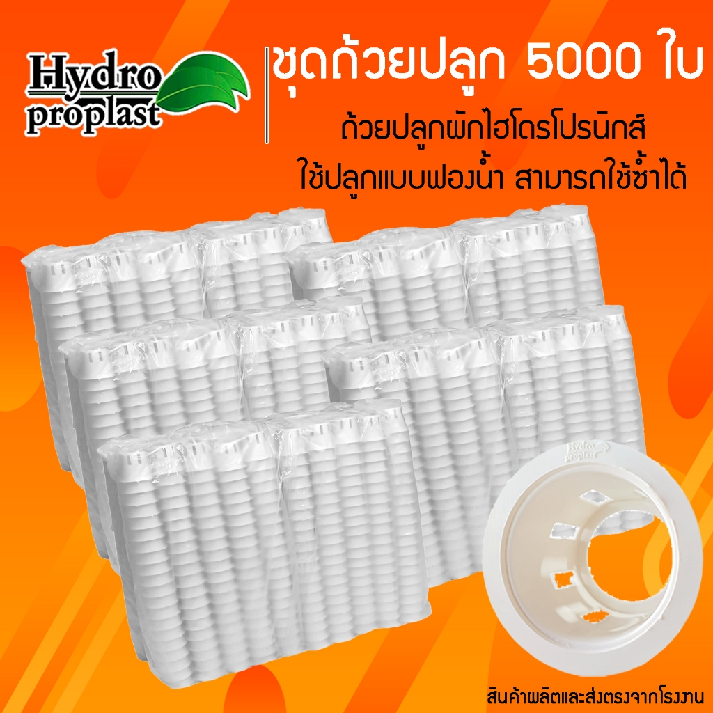 ถ้วยปลูกผักไฮโดรโปนิกส์สีขาวเกรด A + ใช้ซ้ำได้ ยกลัง 5000 ใบ