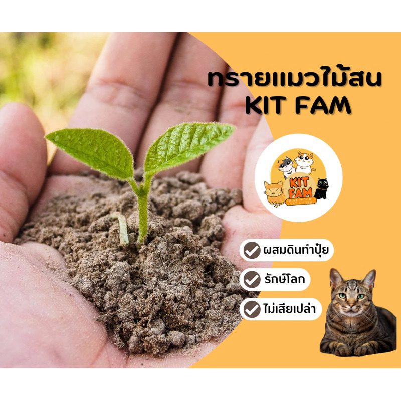ทรายแมว KIT FAM ทรายแมวไม้สน สูตรชาโคล ขนาด 1 ถุง 10 ลิตร กำจัดกลิ่นยิ่งกว่า ปลอดภัย 100 % - รูปที่ 6