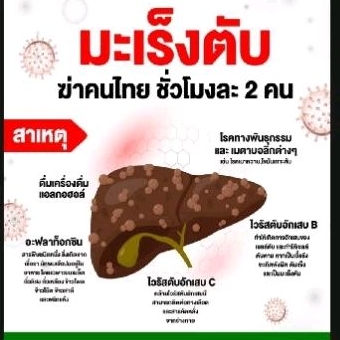 ชุดตรวจคัดกรองมะเร็งตับ