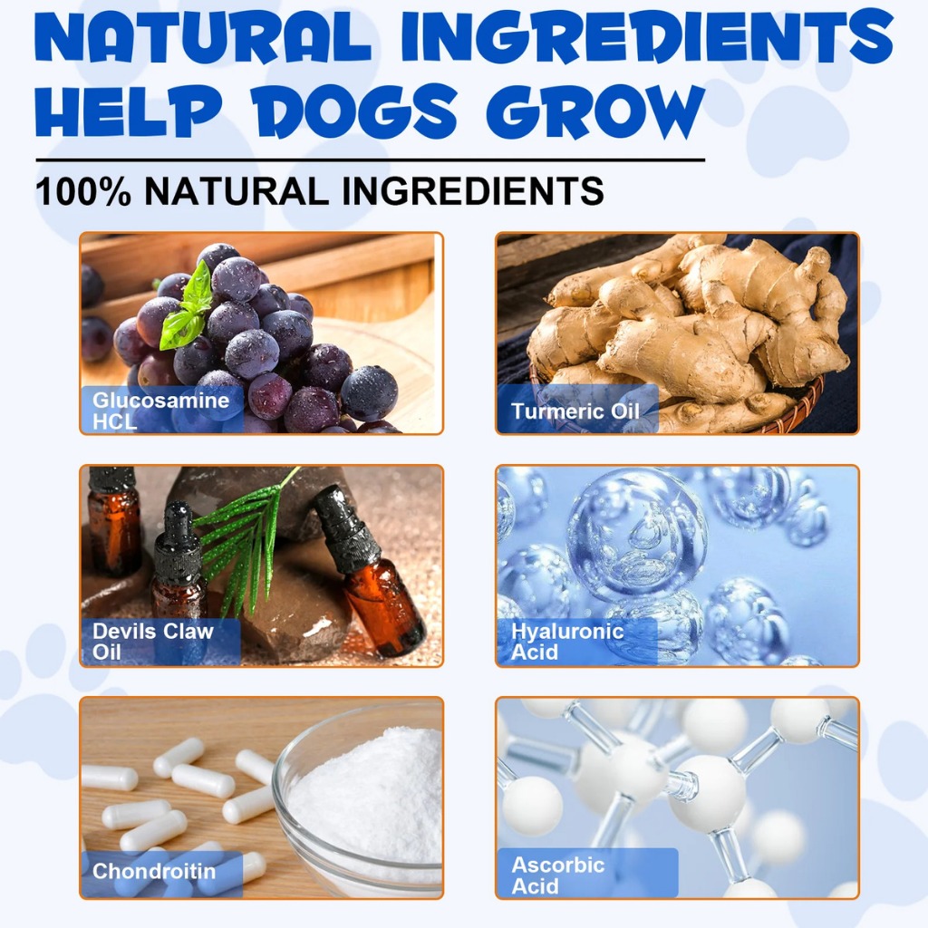 Oimmal Joint Aid & Relief วิตามินบำรุงข้อ ข้อต่อสุนัข ลดอักเสบ บำรุงกระดูก แทน Antinol วิตามินสุนัข - รูปที่ 5