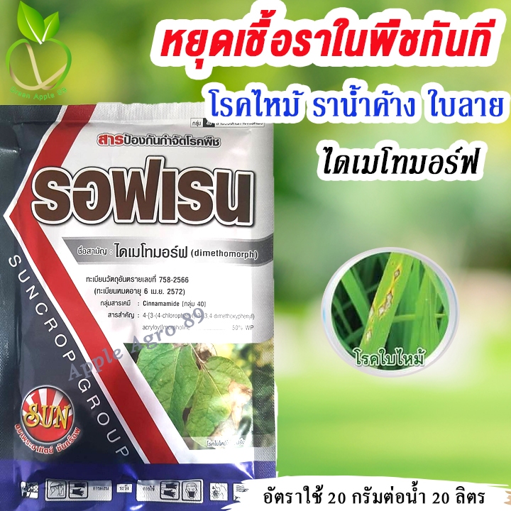 รอฟเรน ไดเมโทมอร์ฟ 50  ขนาด 100 กรัม สารเดียวกับ ฟอรัม ไดเมโทมอฟ ไดเมโทมอร์ฟ50 ราน้ำค้าง โรคราน้ำค้าง กำจัดราน้ำค้าง