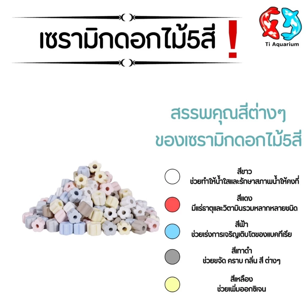 เซรามิกริงค์ ดอกไม้5สี วัสดุกรองตู้ปลา 100g (สินค้าใหม่ล่าสุด) thumbnail 3