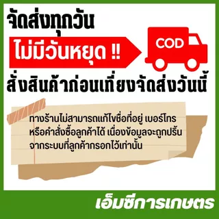 E40-113 มือเร่ง แบบใหม่ เครื่องตัดหญ้า 411 RBC NB