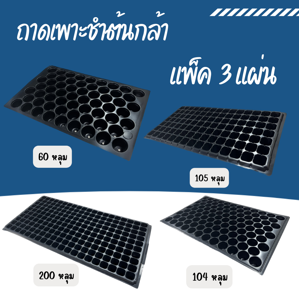 ถาดเพาะต้นกล้า ถาดเพาะเมล็ด ถาดเพาะชำ  60หลุม 104หลุม 200หลุม(แพ็ค 3 ใบ)