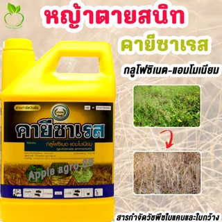 คายีซาเรส หวีทอง ขนาด 4 ลิตร กลูโฟซิเนต-แอมโมเนียม กำจัดวัชพืชใบแคบ-ใบกว้าง กูโฟซิเนต คายีซาเรสยกลัง มาคายียกลัง มาคายี