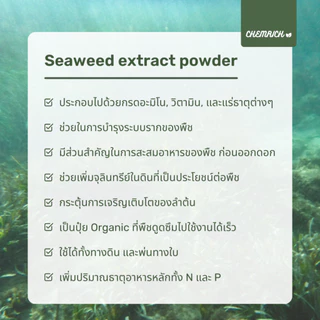 100G/500G สาหร่ายทะเล สาหร่ายผงสกัด สาหร่ายพืช ช่วยเร่งการเจริญเติบโต เพิ่มน้ำหนักผล เร่งแตกดอก / Seaweed extract powder
