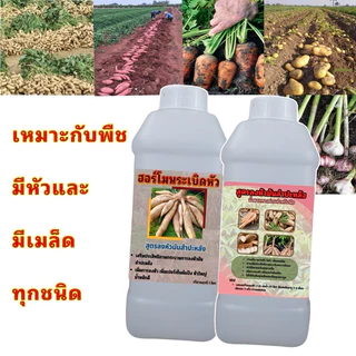 ฮอร์โมนเร่งหัวมันสําปะหลัง ซื้อ 1 ลิตร ฟรี 1 ลิตร