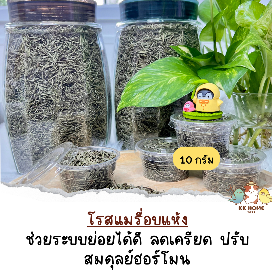 โรสแมรี่อบแห้ง ขนาด 10 / 20 กรัม อาหารเสริมสำหรับนก สมุนไพรมากคุณประโยชน์สำหรับนกแก้ว