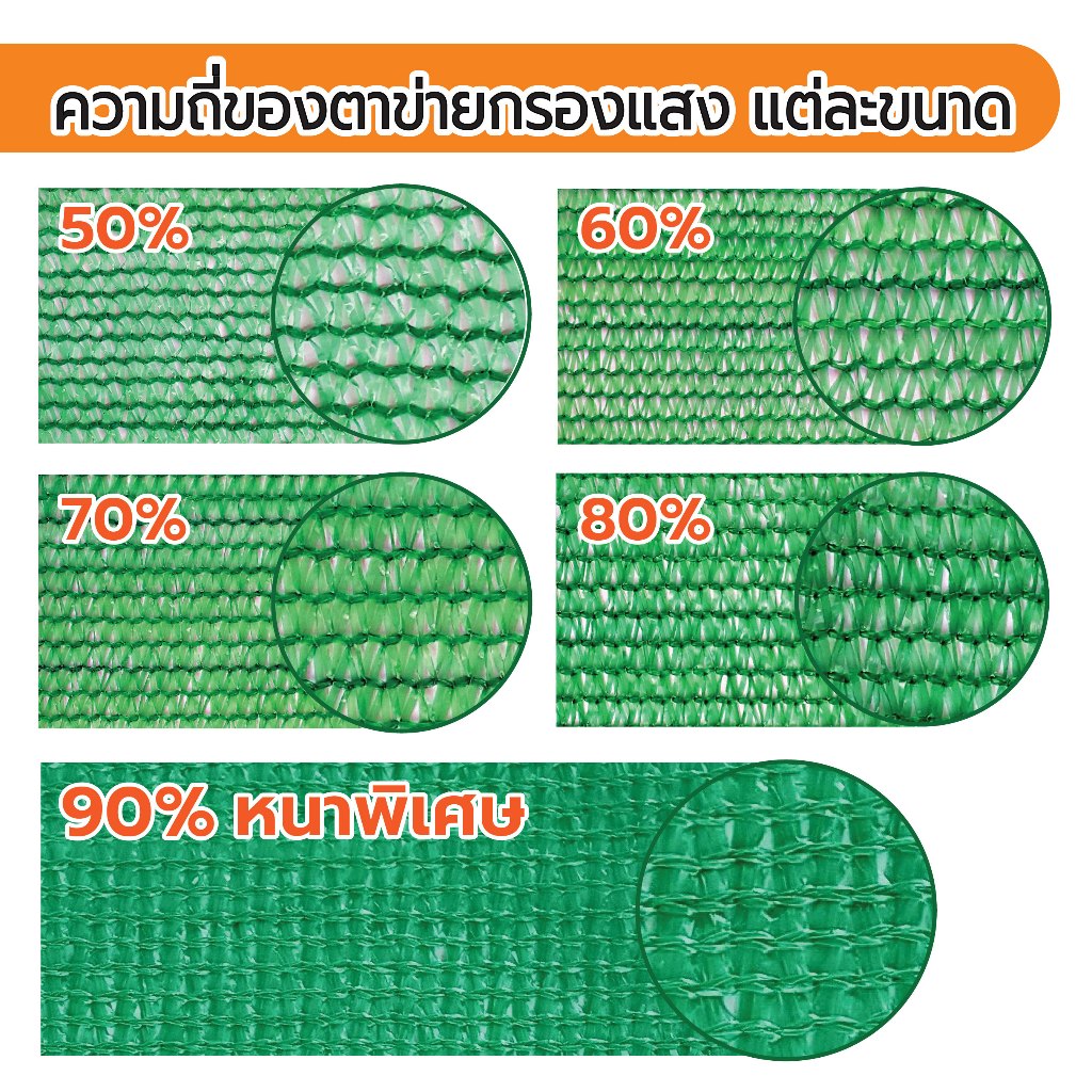 รูปภาพ 5