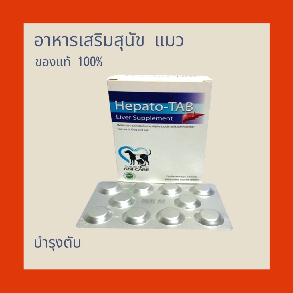 Hepato Tab Liver Supplement Dog Cat 100 เม็ด อาหารเสริม วิตามิน สุนัข แมว บำรุงตับ