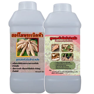 ฮอร์โมนเร่งหัวมันสําปะหลัง ซื้อ 1 ลิตร ฟรี 1 ลิตร