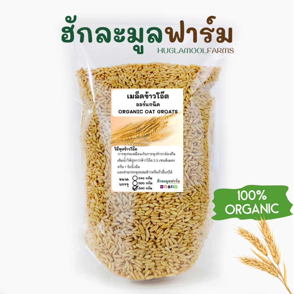 ข้าวโอ๊ต แบบหุง ออร์แกนิคแท้ ขนาด240 800กรัม ตราฮักละมูลฟาร์ม เกรดสำหรับคนทาน Organic Oat Groat