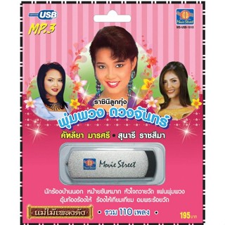 เพลงลูกทุ่ง USB- MP.3 ชุดพุ่มพวง ดวงจันทร์# เพลงลูกทุ่งไทย เ…