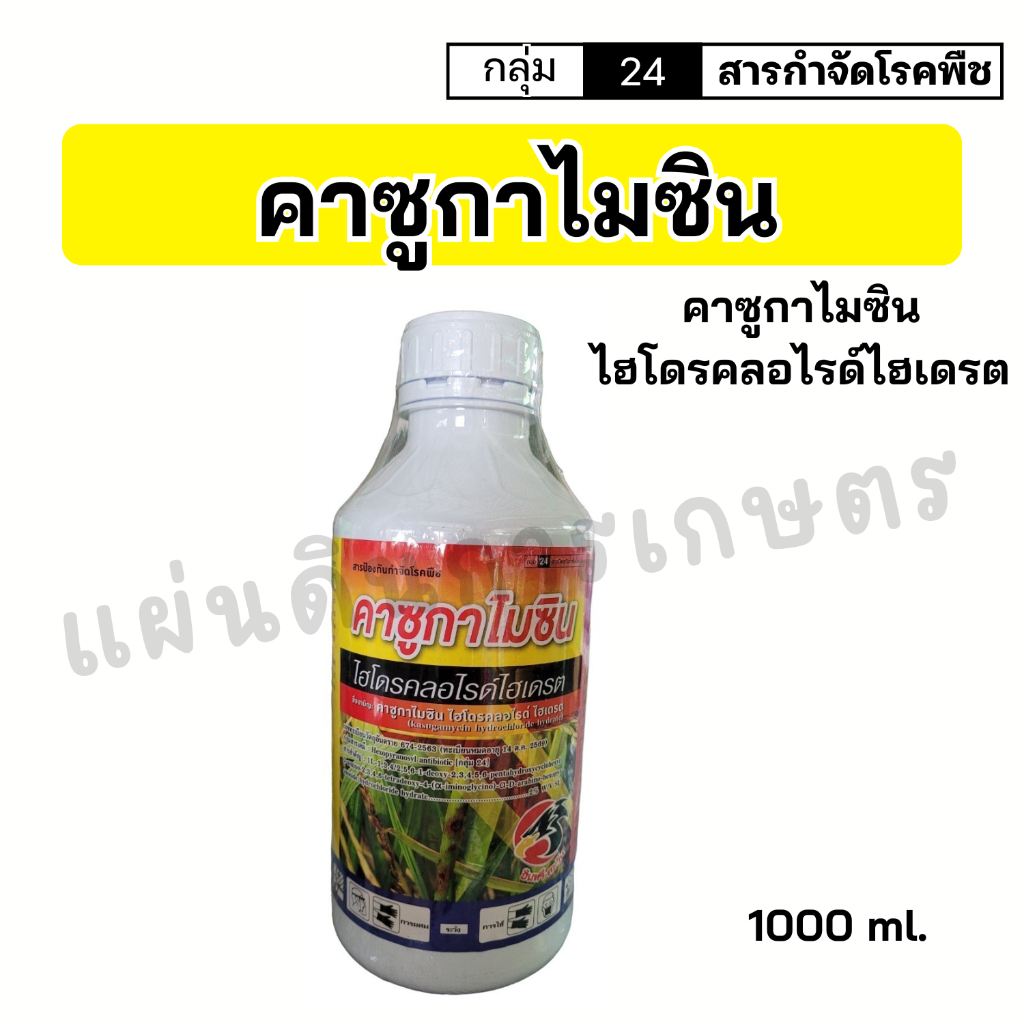 คาซูกาไมซิน ไฮโดรคลอไรด์ ไฮเดรต ขนาด 1 ลิตร ทนฝน ดูดซึมเร็วปลอดภัย ป้องกันทั้งเชื้อแบคทีเรียและเชื้อราบางชนิด