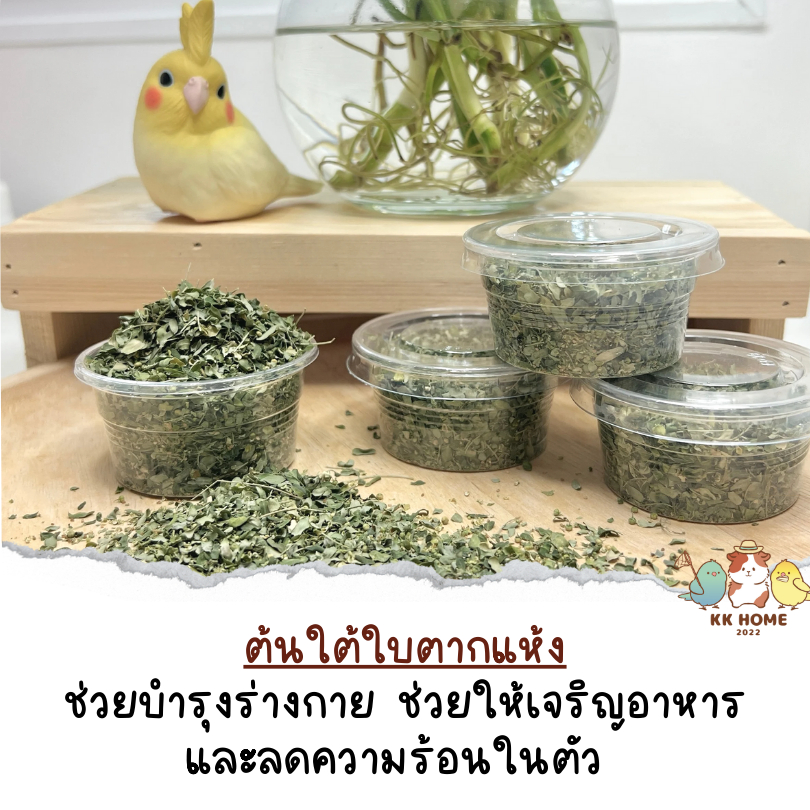 ต้นใต้ใบตากแห้ง ต้นใต้ใบ สมุนไพรมากคุณประโยชน์ดีต่อสัตว์เลี้ยง สำหรับนกทุกชนิด เช่นนกแก้ว