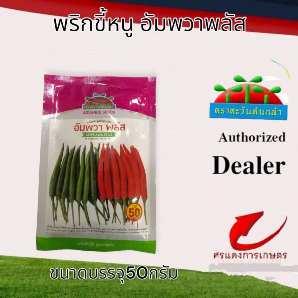 พริกขี้หนูอัมพวาพลัส 50g