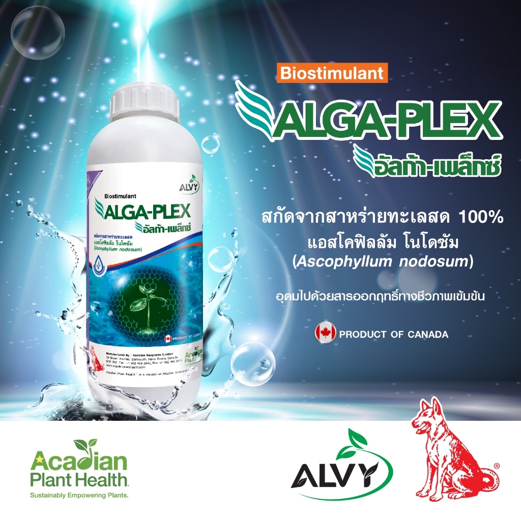 อัลก้า-เพล็กซ์ 1ลิตร สาหร่ายทะเลสด 100% สารออกฤทธิ์ชีวภาพเข้มข้น