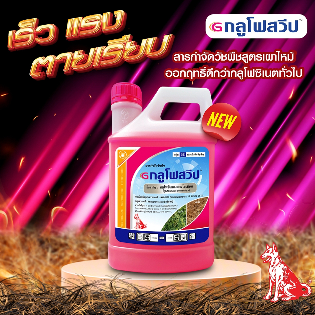 กลูโฟสวีป ยาฆ่าหญ้าทุกชนิด สารกำจัดวัชพืชสูตรเผาไหม้ น้ำสีชมพู เร็ว แรง ตายเรียบ