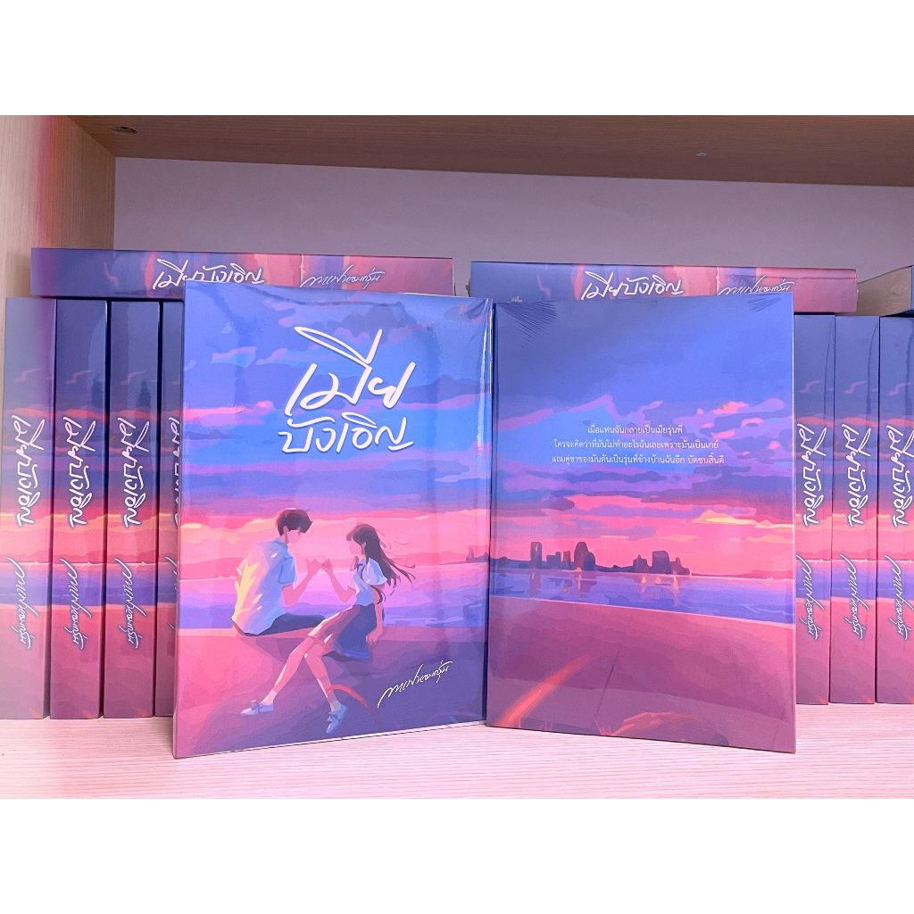 หนังสือนิยาย เมียบังเอิญ แต่งโดย กาแฟหอมกรุ่น