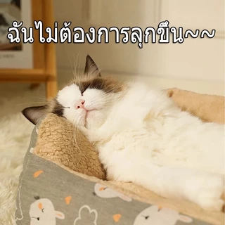 ที่นอนสุนัข ที่นอนแมว สำหรับตว์เลี้ยง ที่นอนเย็น ผ้าระบายความเย็น ที่นอนสัตว์เลี้ยง เบาะแมว เบาะสุนัข Pet Cool Mat