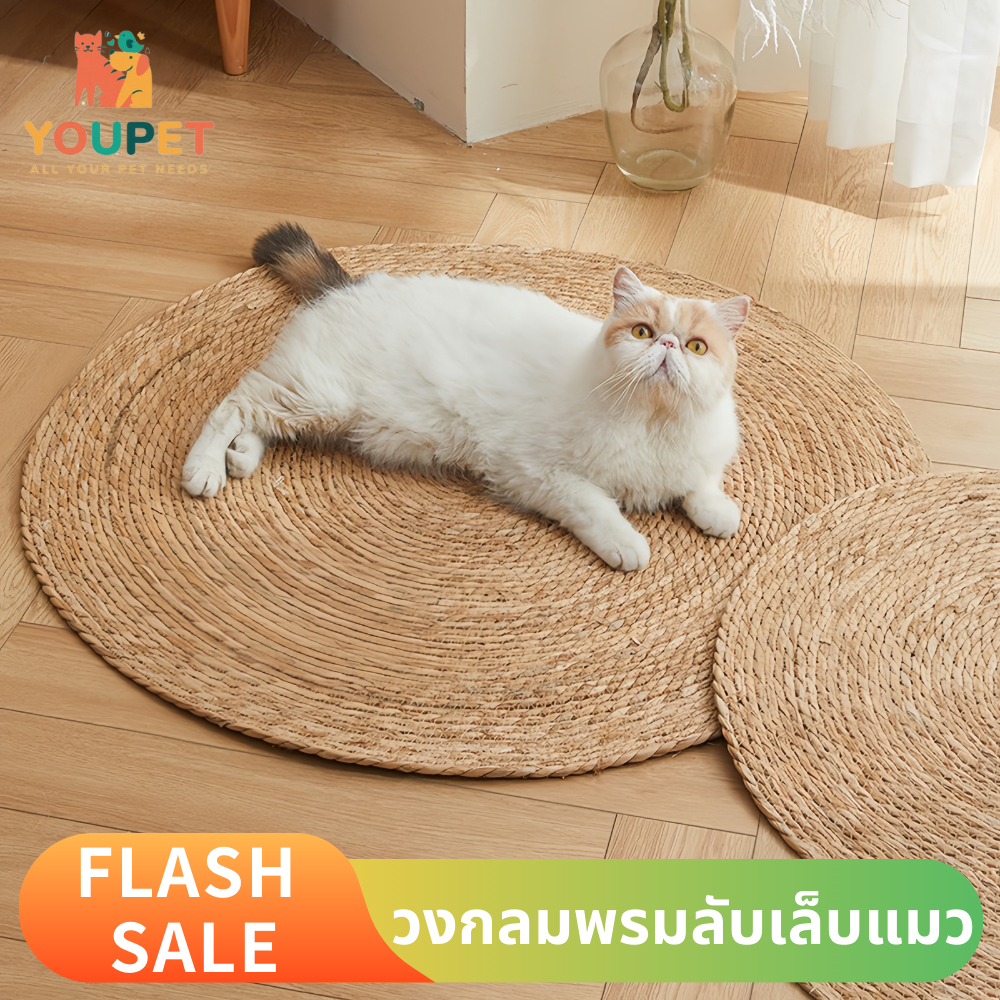 KUMA まพรมลับเล็บแมว S-XXL ที่ลับเล็บแมว เสื่อลับเล็บแมว แผ่นลับเล็บแมว กันข่วน ของเล่นแมว ที่นอนแมว กันข่วน Cat Mat